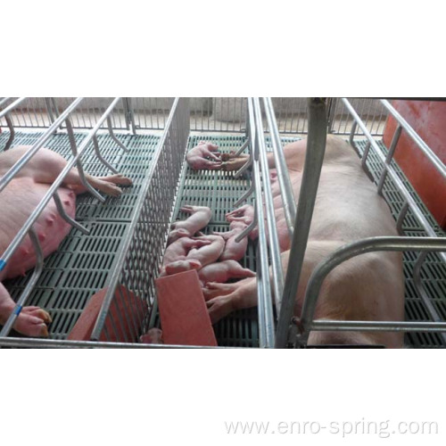 Swine Farrowing Crates With New Style Slatted Floor